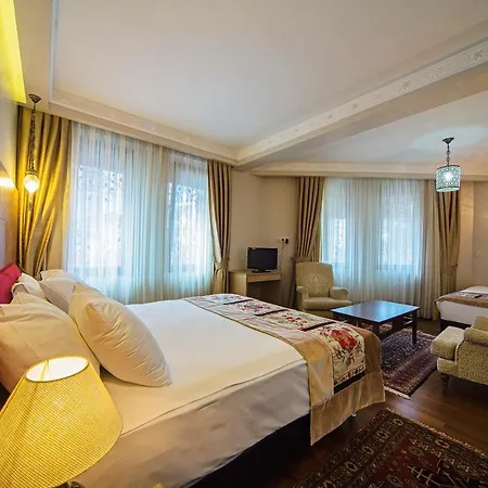 Hotel Hippodrome 3*