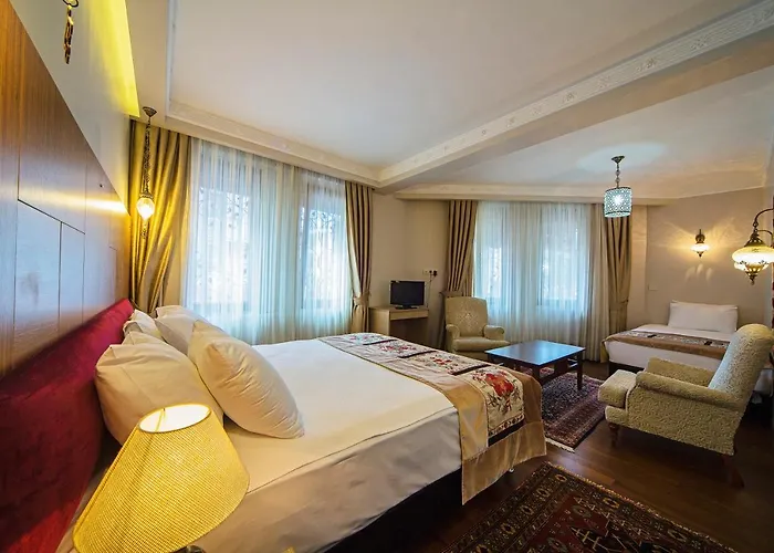 Отель Hippodrome 3*