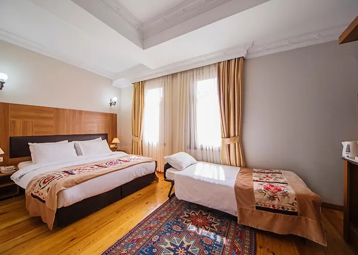 Отель Hippodrome 3*