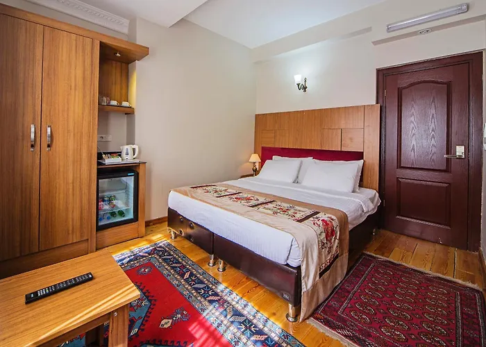 Отель Hippodrome 3*